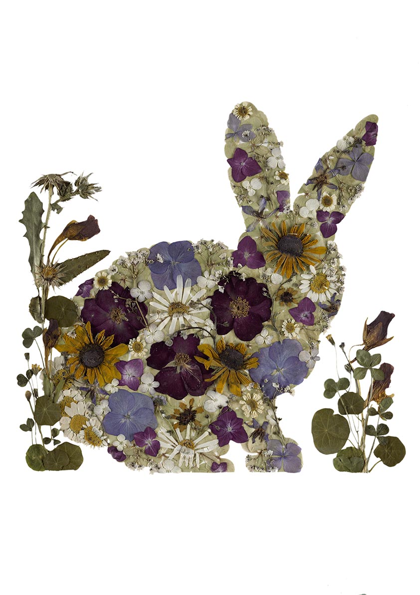 Art Print - Rabbit – wayswithwildflowers